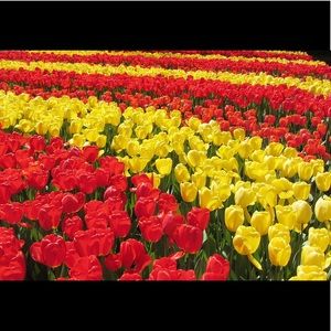 Meet your Posher, JD